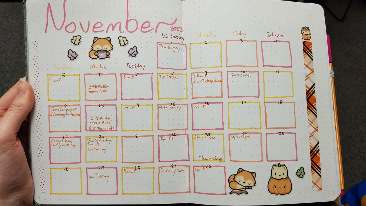 Customer photo review of Pumpkin Fox Sticker Sheet