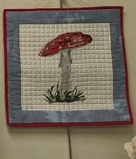 Customer photo review of Mushroom Complete Kit