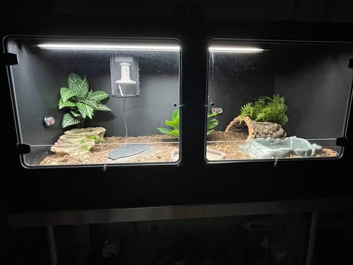 Customer photo review of BlackBox Lamp Holder with Guard - KIT
