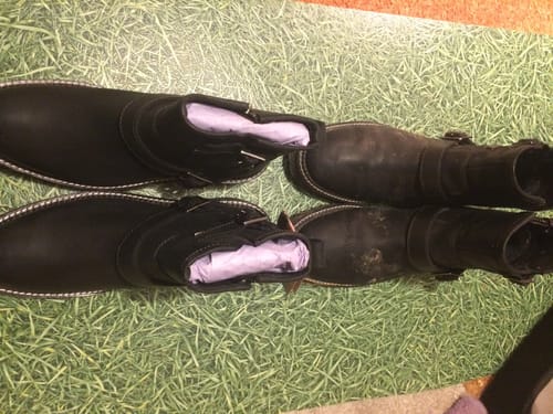Customer photo review of Combe Zip Ankle Boots Black
