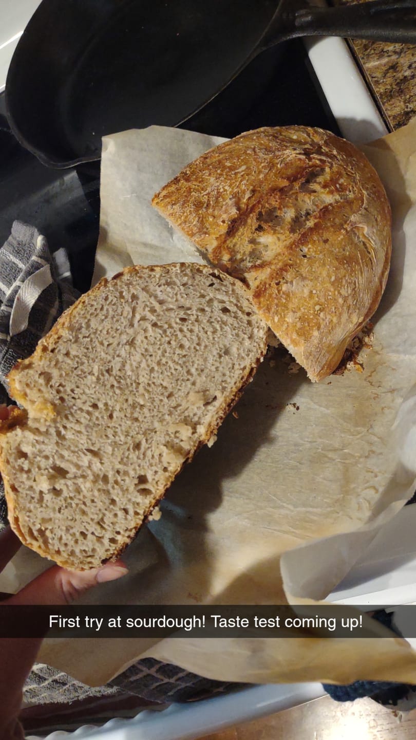 Customer photo review of Dehydrated Sourdough Starter Kit