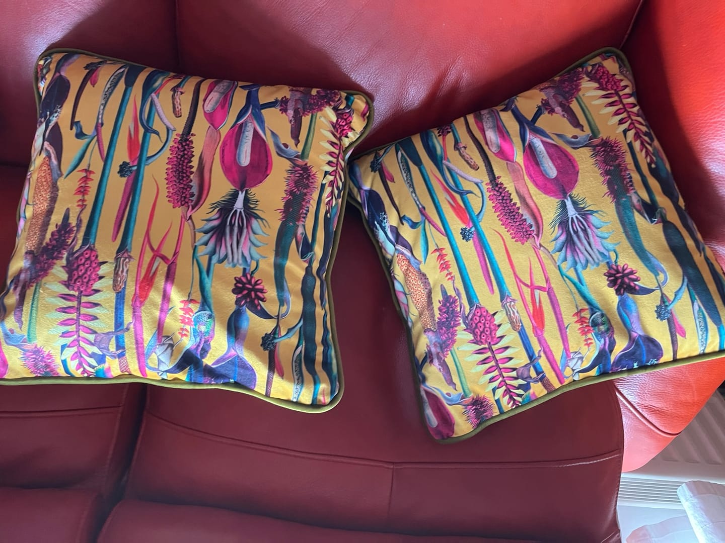 Customer photo review of Abstract Plants Digital Velvet Fabric