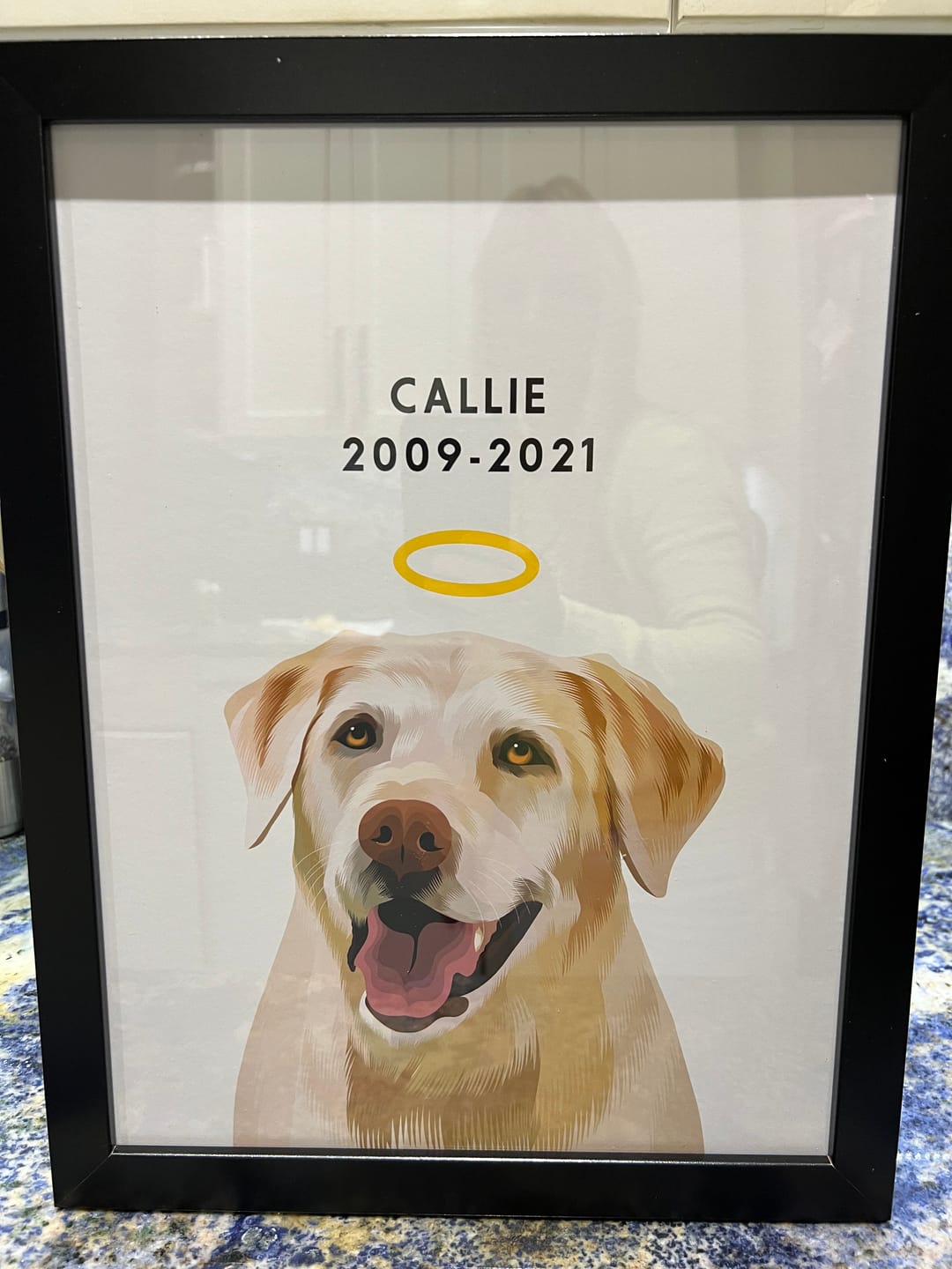 Customer photo review of Custom Memorial Pet Portrait w/ Halo