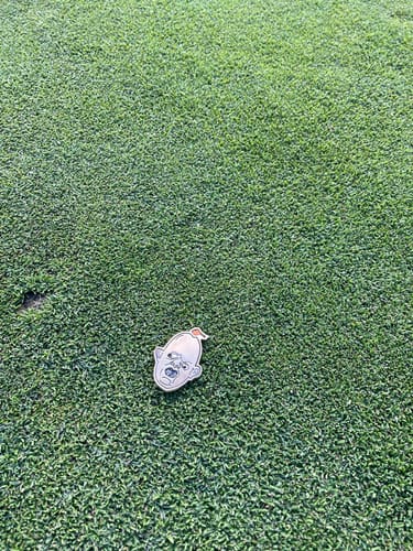 Customer photo review of Sloth Ball Marker