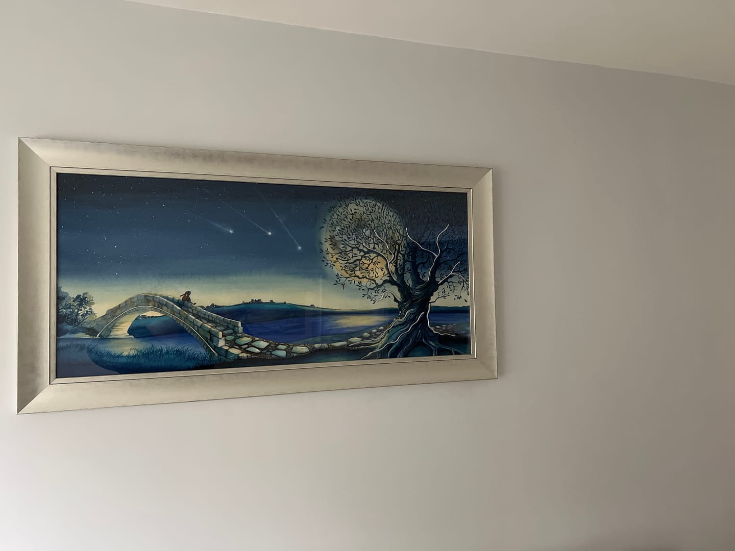 Customer photo review of Over The Moon By Catherine Stephenson *NEW*