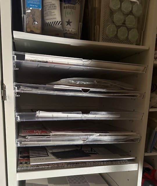 Customer photo review of 8 Shallow InView™ Totes