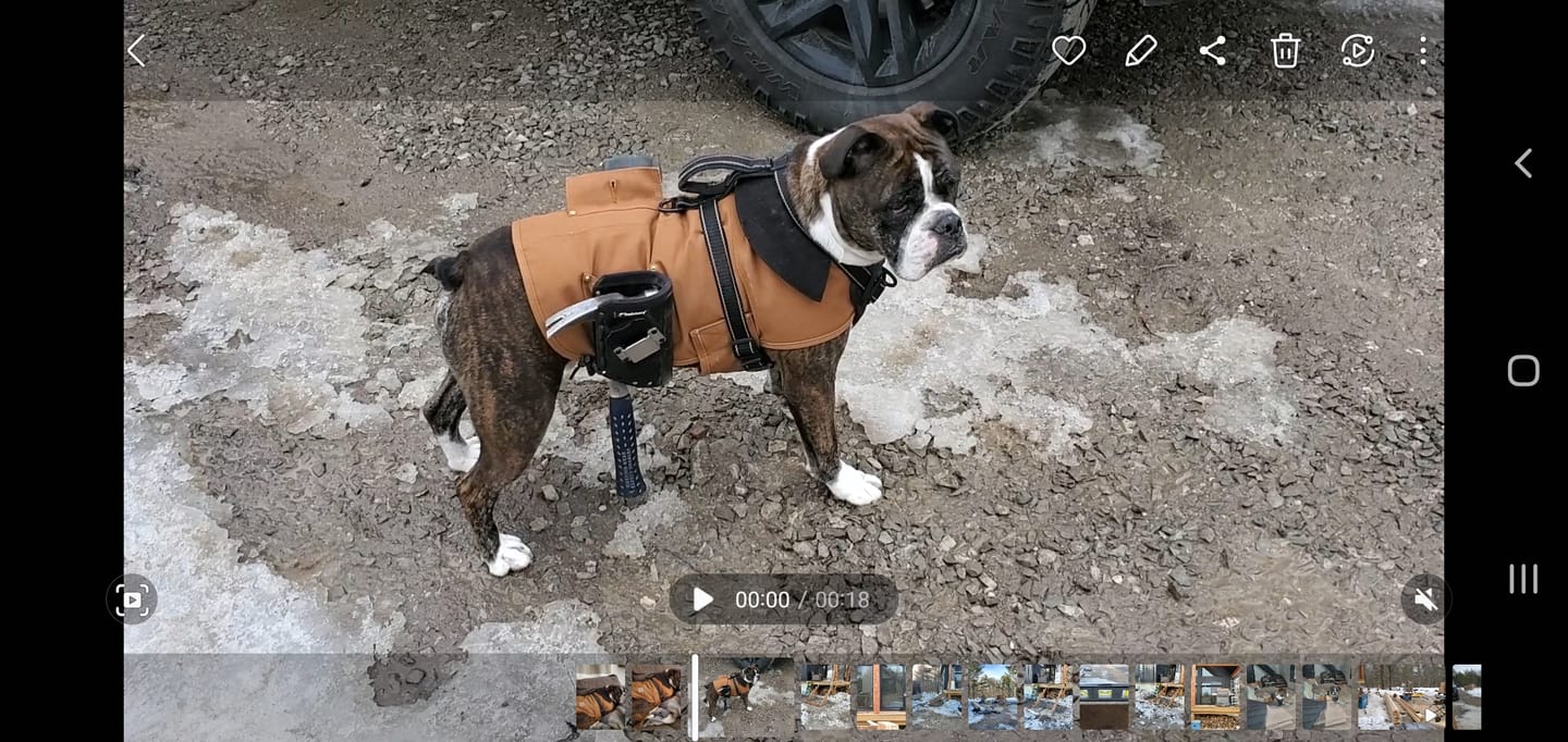 Customer photo review of Jolly Roger | Clip-on Hammer and Tool Holster