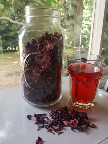 Customer photo review of Rosa Jamaica / Hibisco