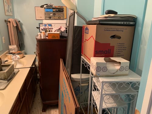 Customer photo review of Houseplant Insecticide w/ Neem