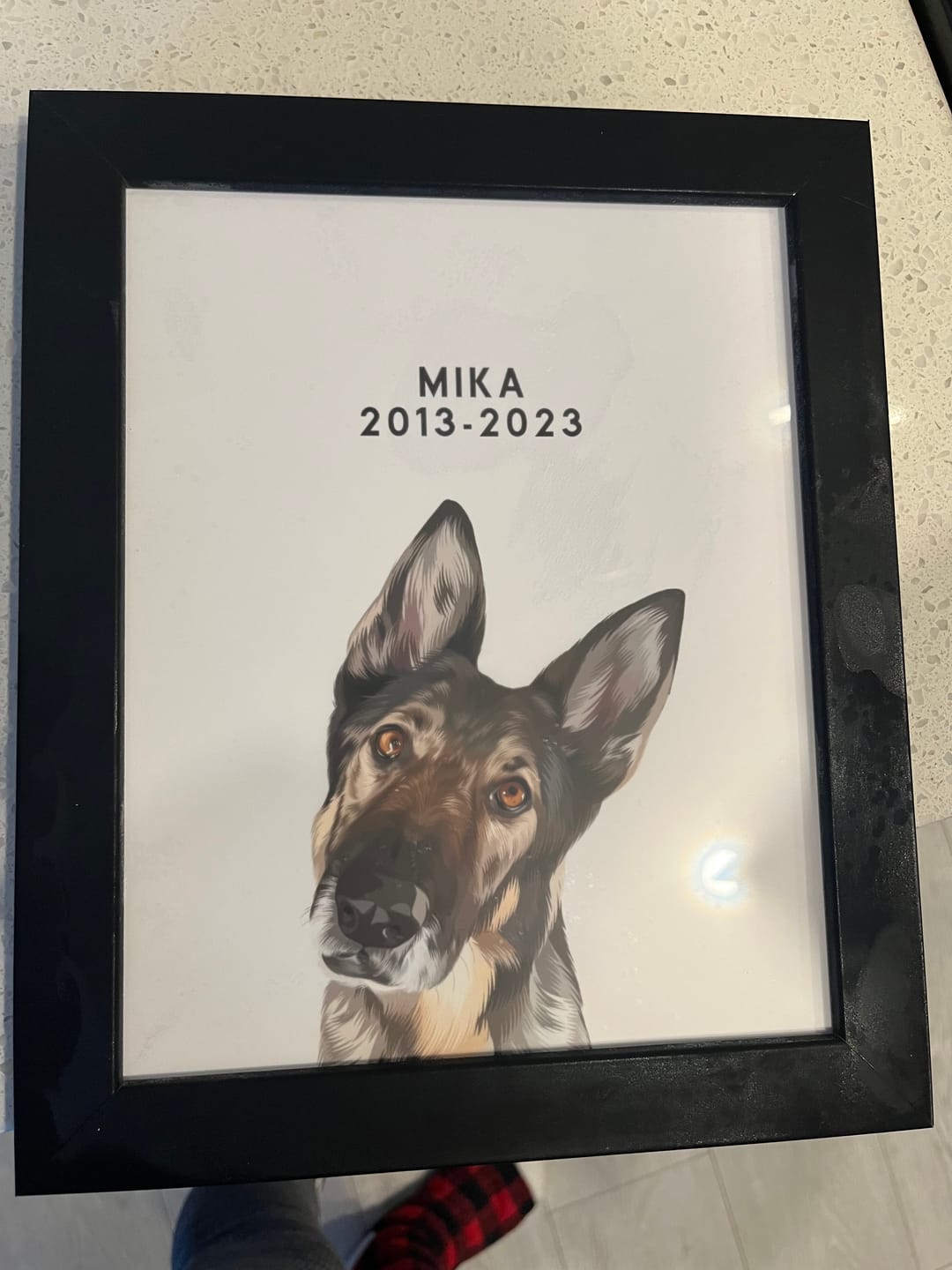 Customer photo review of Custom Memorial Pet Portrait