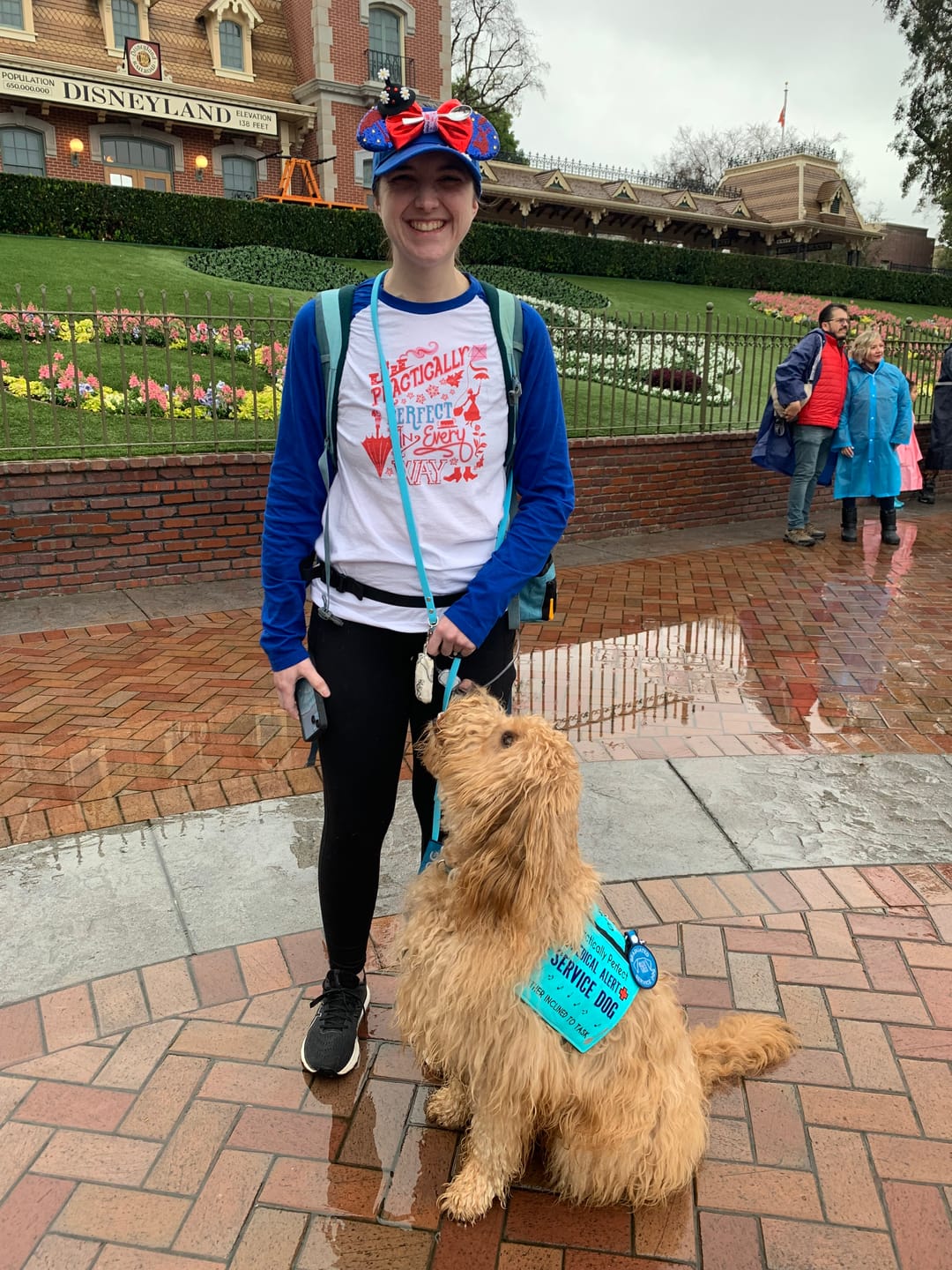 Customer photo review of Turn Mickey Ears into Visor