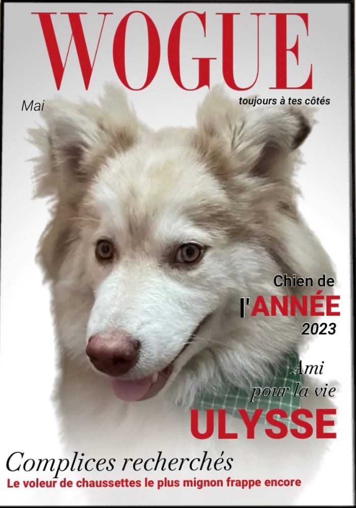 Customer photo review of Wogue - Poster personnalisé