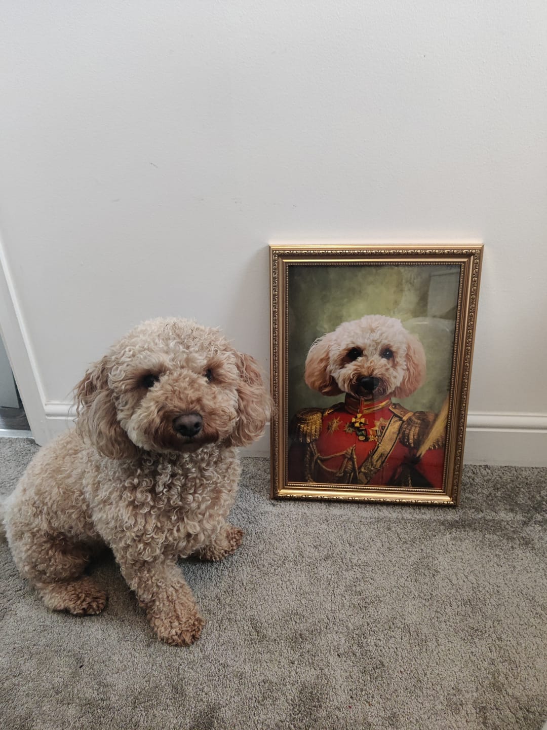 Customer photo review of The Duke: Custom Pet Portrait