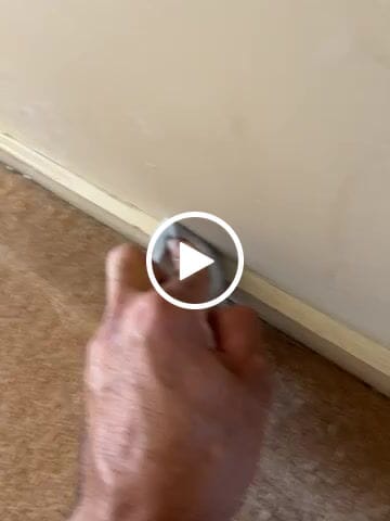 Customer video review of Scrub Daddy Damp Duster