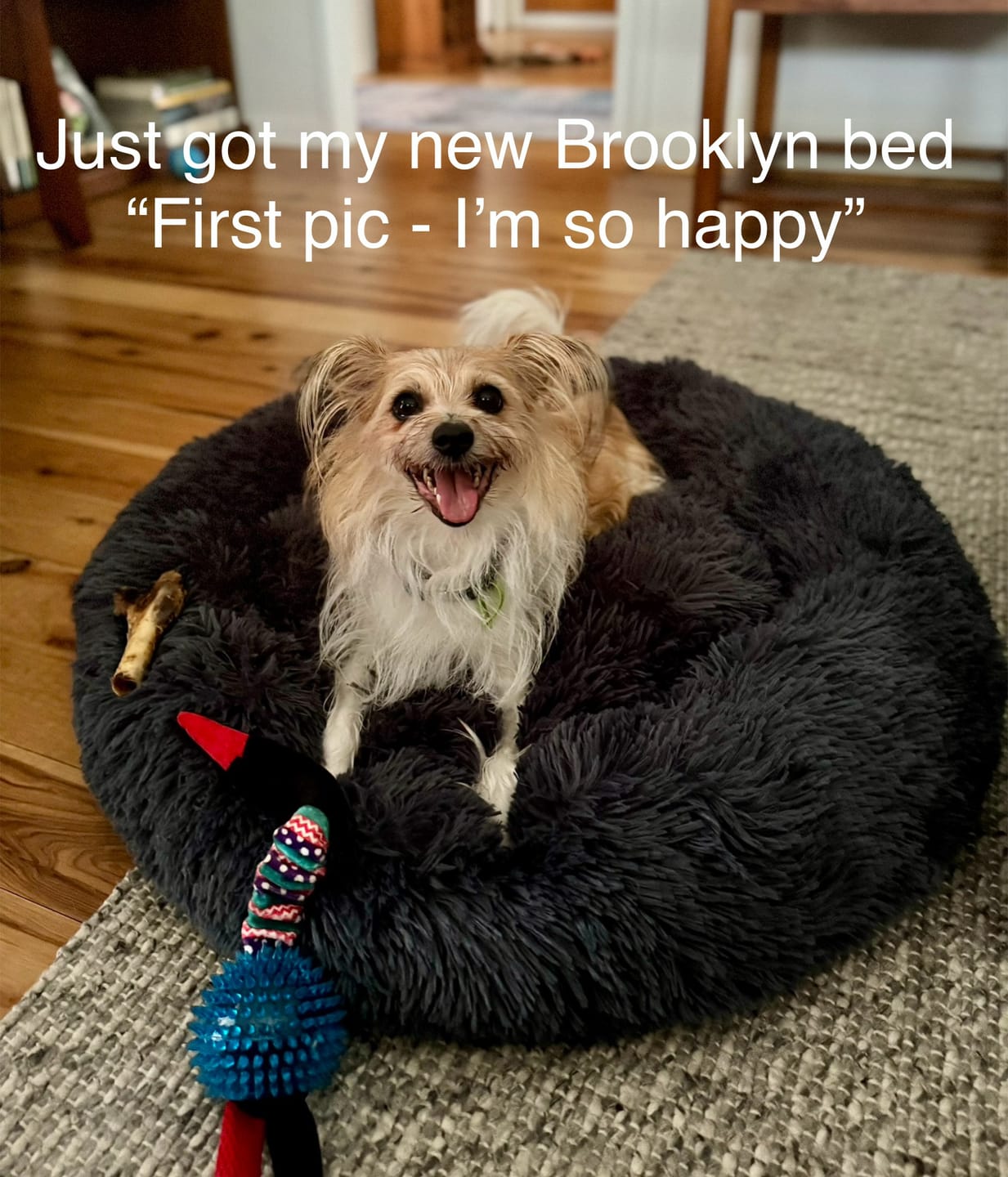 Customer photo review of Brooklyn® Deep Sleep Pet Bed