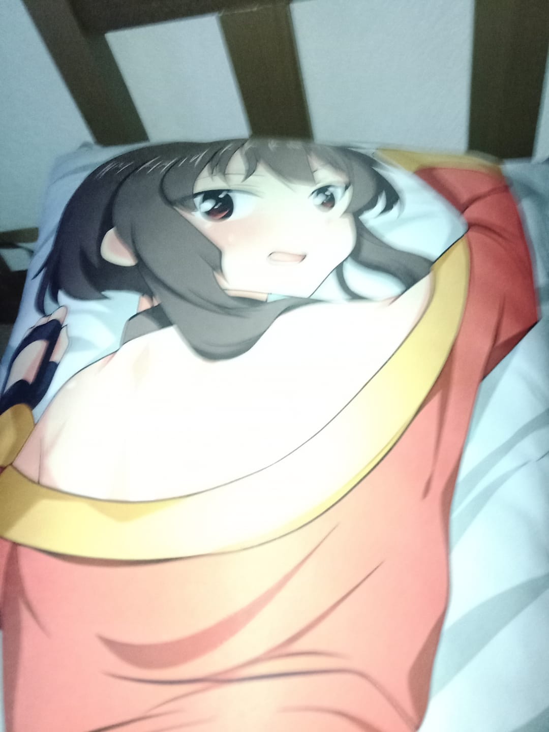 Customer photo review of Inner Body Pillow Special Dakimakura Cover