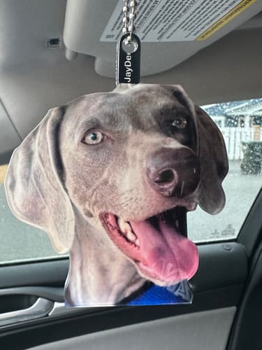 Customer photo review of Personalized Car Hanging Ornament - Gift For Dog Lover - Custom Your Photo Car Hanging