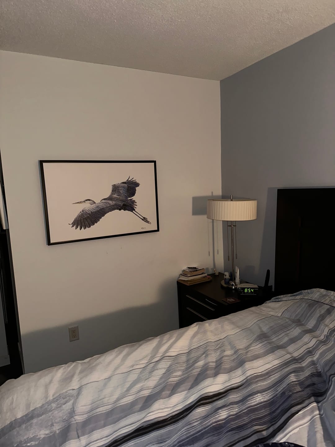 Customer photo review of Great Blue Heron - illustration