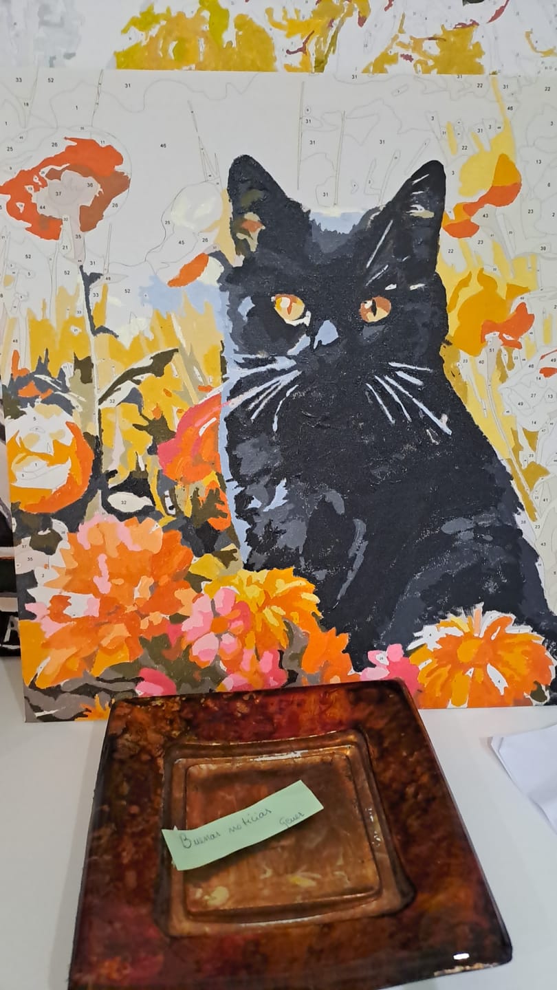 Customer photo review of Sunny Feline