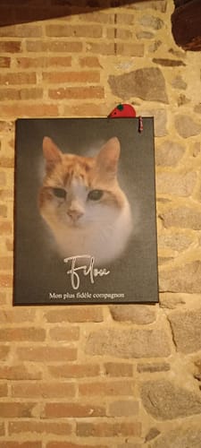 Customer photo review of Portrait Art Huilé