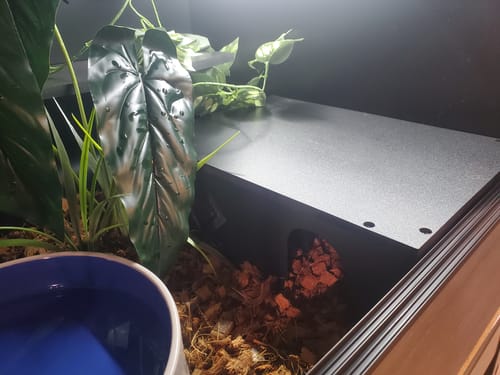 Customer photo review of BlackBox Hides Extra Long 14.5x10x5"