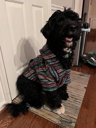 Customer photo review of Free & Easy Return or Exchange Coverage + Package Protection