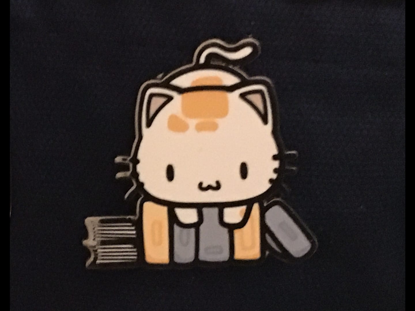Customer photo review of Let's Read Pin