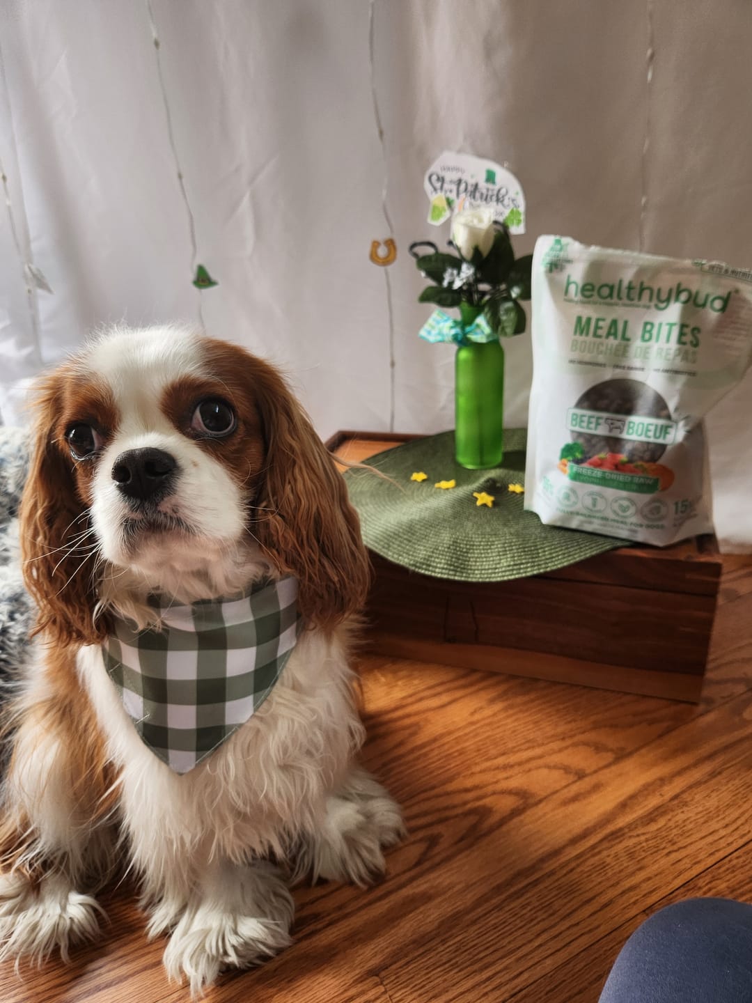 Customer photo review of Beef Meal Bites