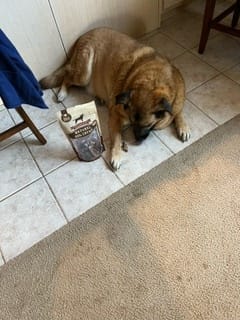 Customer photo review of 6 Inch Beef Jerky Strip