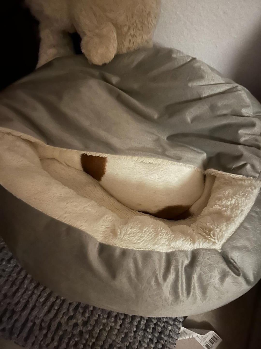 Customer photo review of *Neu*Emmalove - Kuschelhöhle für Hunde