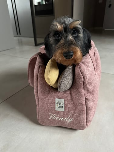 Customer photo review of Trasportino Cotone Urban