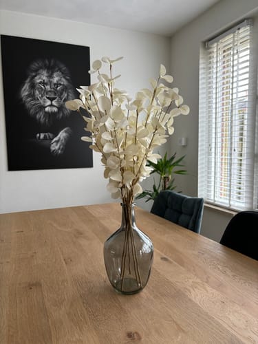 Customer photo review of Faux Eucalyptus - Crème (5stengels)