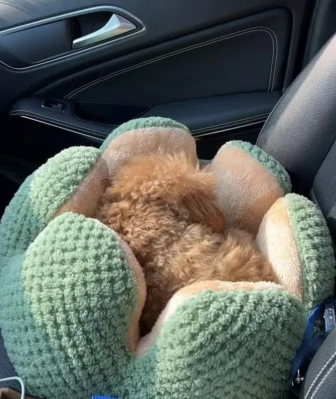 Customer photo review of Cactus Bed