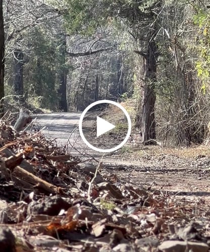 Customer video review of 2020-2024 Polaris RZR PRO XP & Turbo R Sport Muffler, Slip-On Catless Sport Muffler