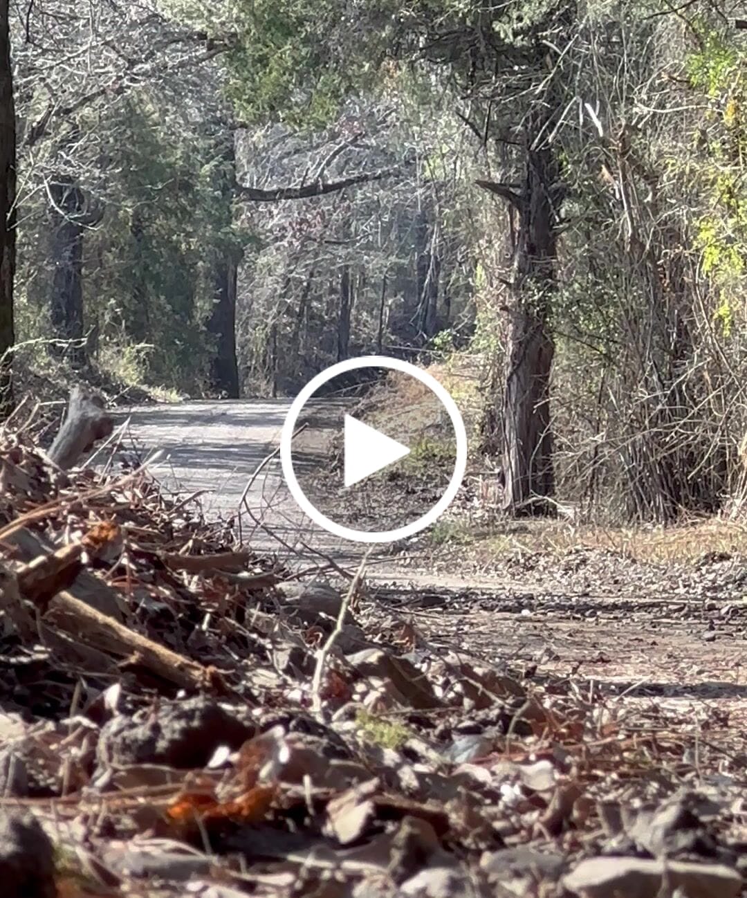 Customer video review of 2020-2024 Polaris RZR PRO XP & Turbo R Sport Muffler, Slip-On Catless Sport Muffler