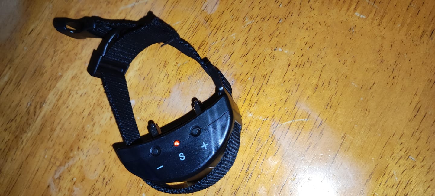 Customer photo review of Anti Bark Training Collar Ireland