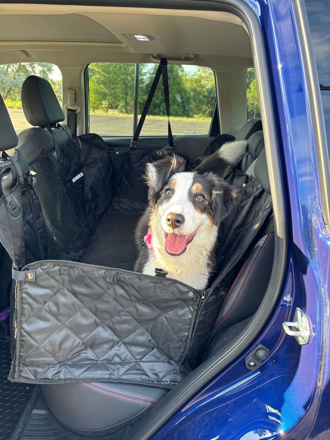 Customer photo review of 4-in-1 Dog Car Seat Cover