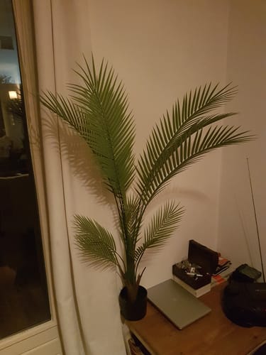Customer photo review of Kunstpalm 130cm