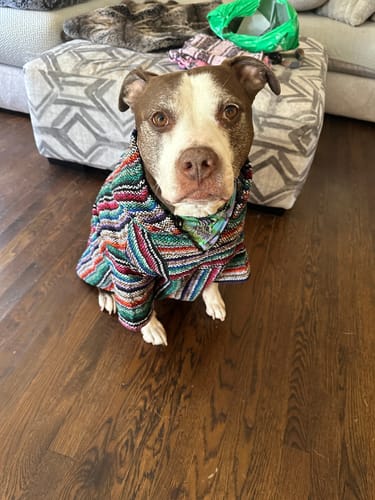 Customer photo review of Playa Poncho - Surprise Color