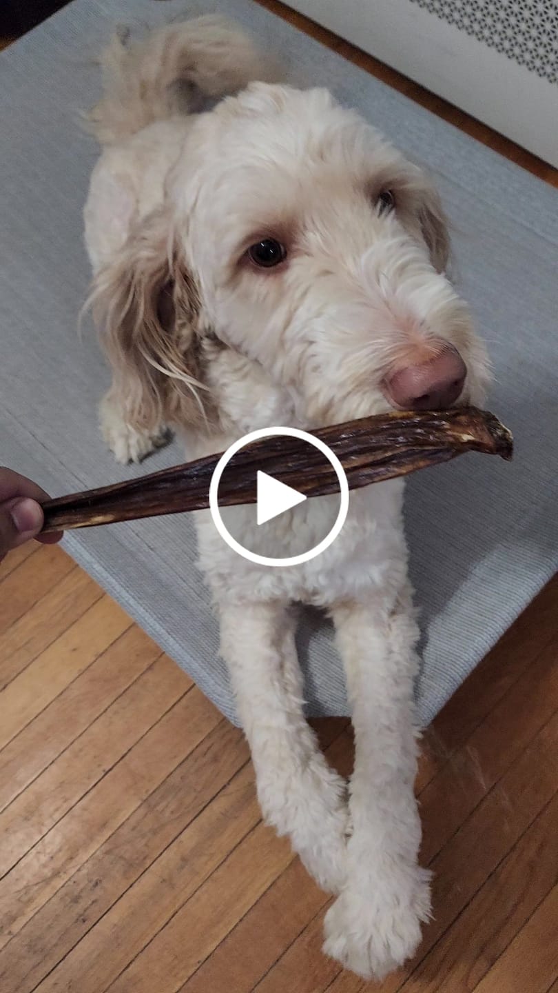 Customer video review of 12 Inch Beef Jerky Stick