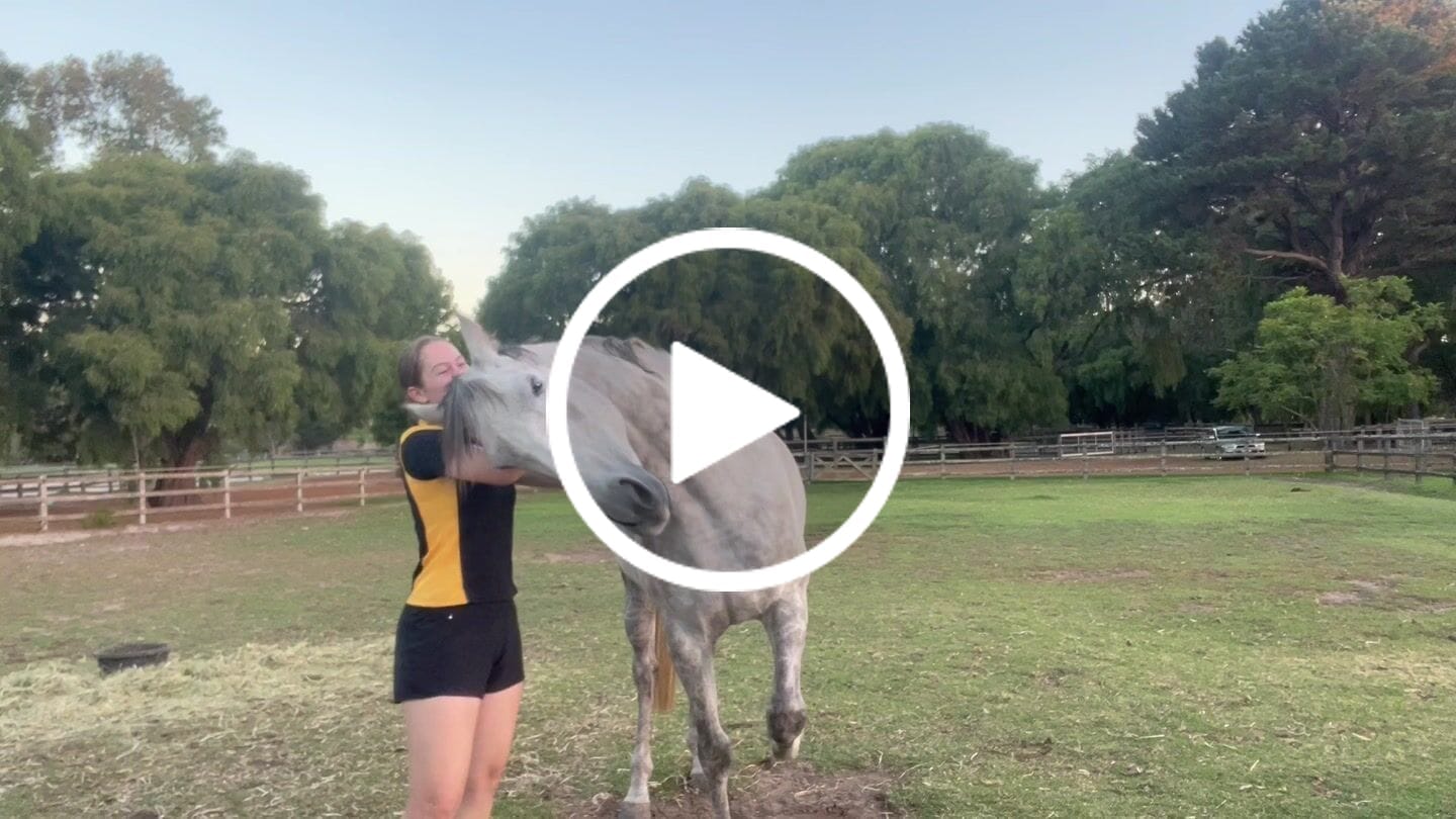 Customer video review of Flexible Glossy Groomer