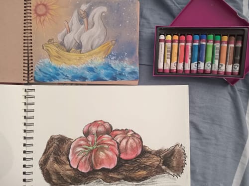 Customer photo review of Van Gogh Oil Pastels - Set 12 Pasteles al Óleo