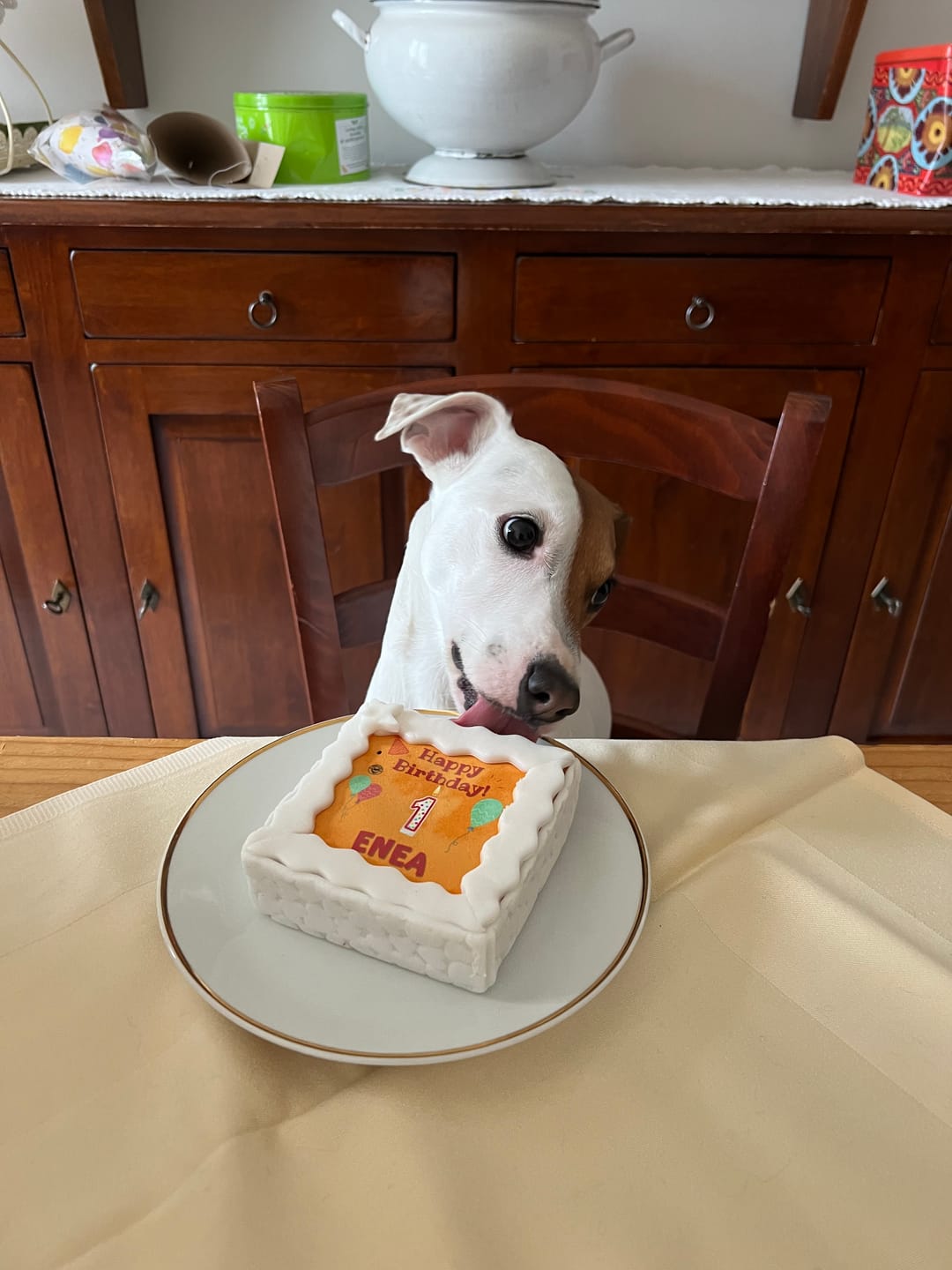 Customer photo review of Torta Per Cani Happy Birthday Personalizzabile Con NOME E ANNI