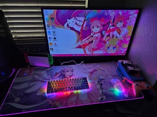 Customer photo review of Kawaii Anime Girl Combo