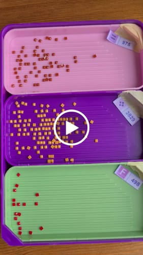 Customer video review of Diamond Painting Multifunktionales Schiffchen Set
