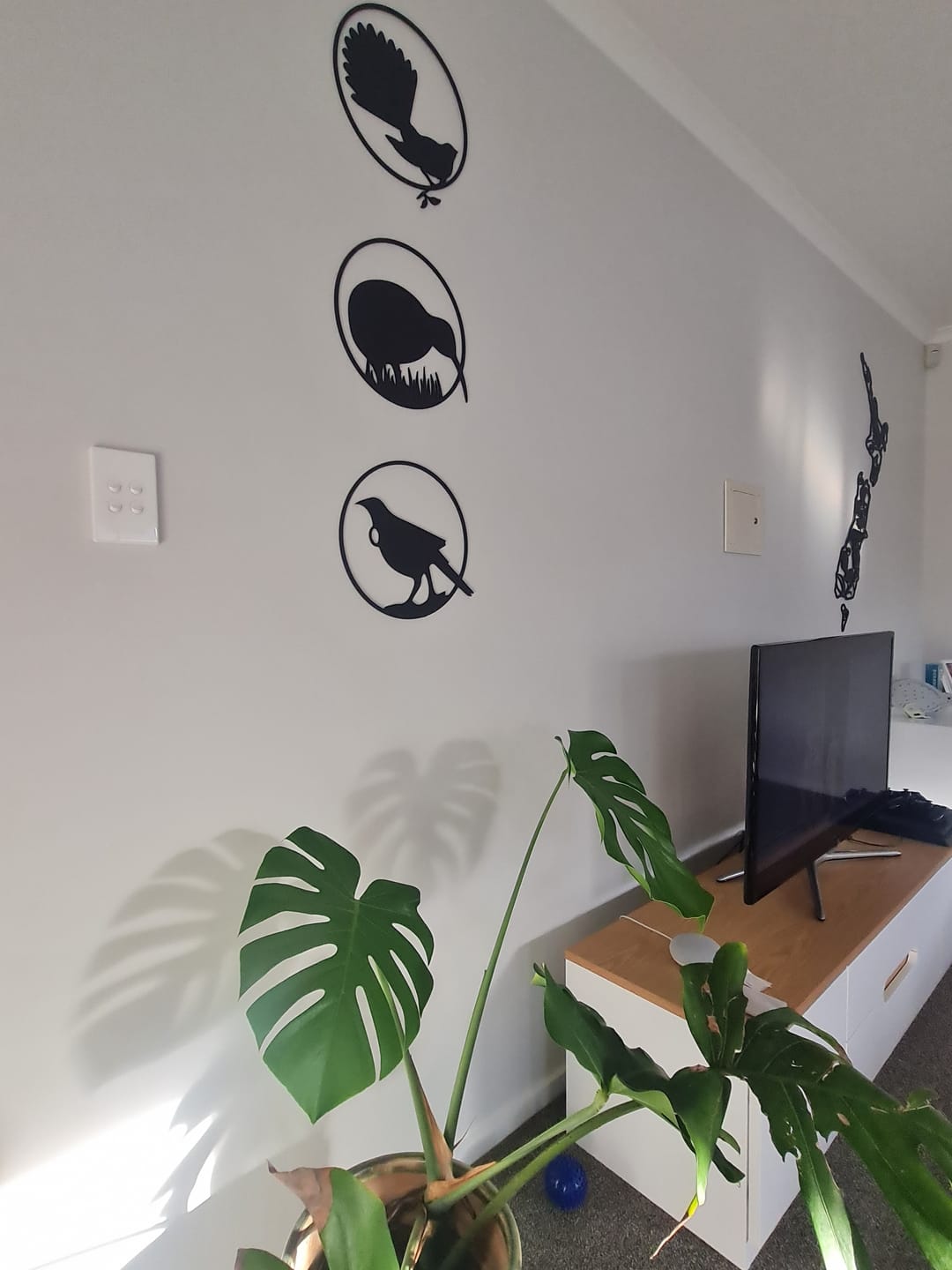 Customer photo review of NZ Native Birds Wall Art Set