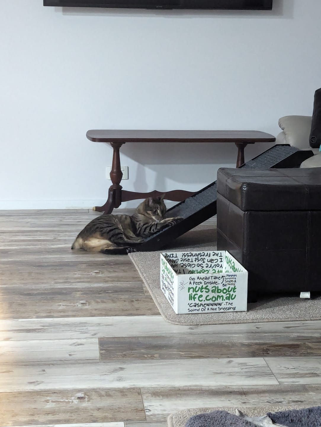 Customer photo review of PaWz Adjustable Dog Ramp