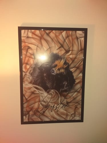 Customer photo review of Rauch Pawtrait