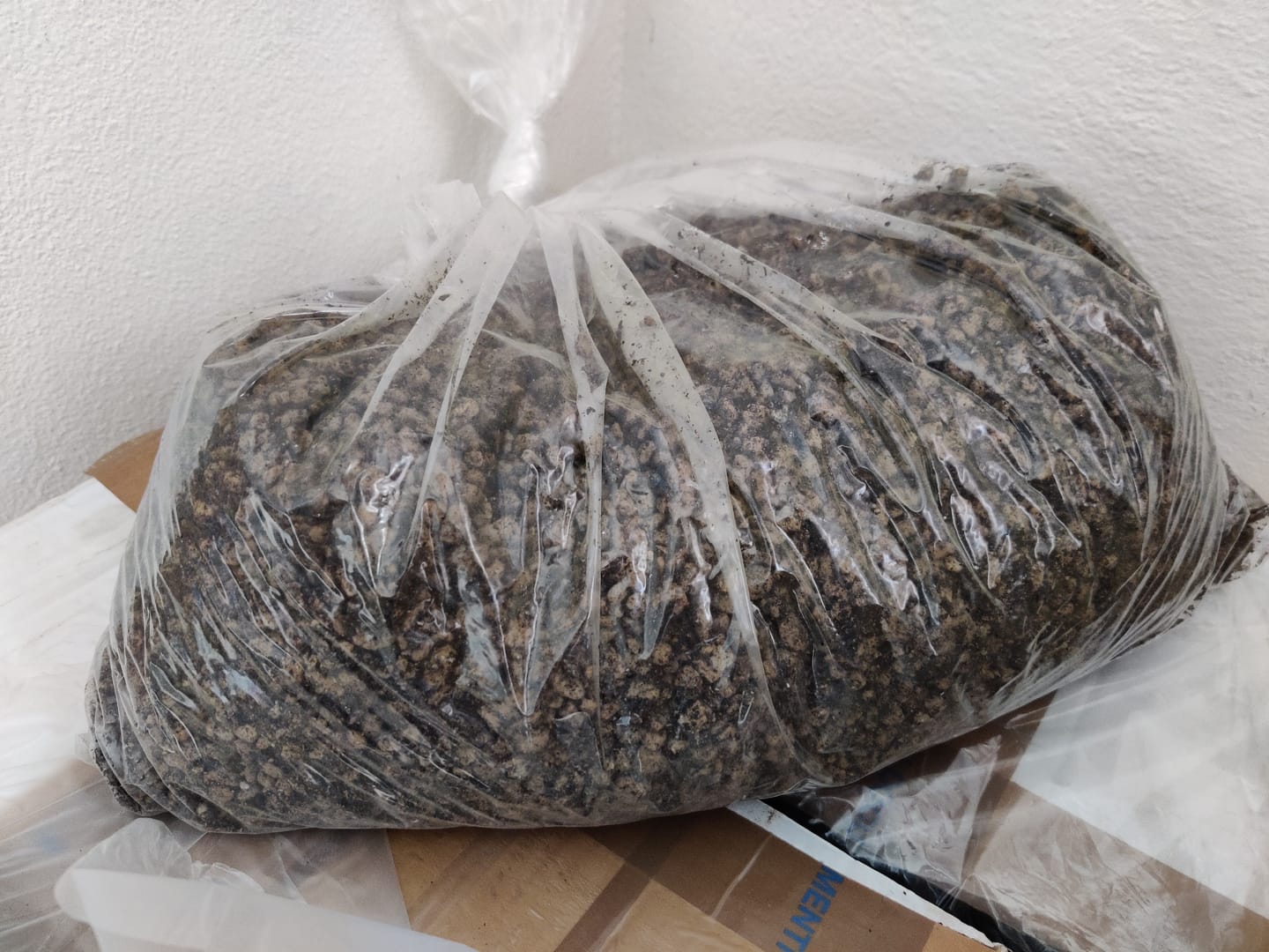 Customer photo review of BASIC CB® (substrato entry level per bonsai)