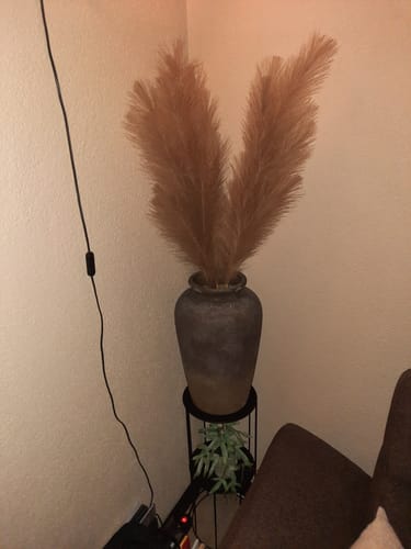 Fotorecensie van een klant over Pampas 110cm (3 stengels)- Natuurlijk Bruin